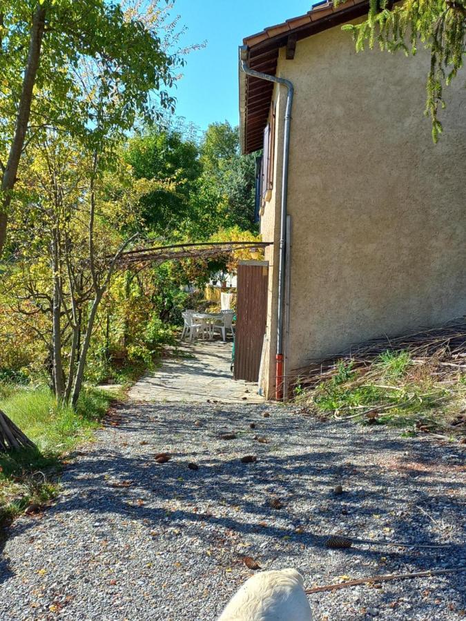 Bas De Villa, 2 Terrasses, Piscine, Spa, Sauna... Neffes Dış mekan fotoğraf